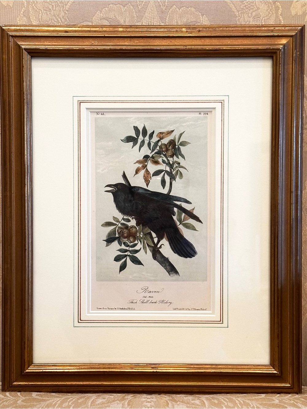 The Raven Lithograph by John James Audubon Fine Art